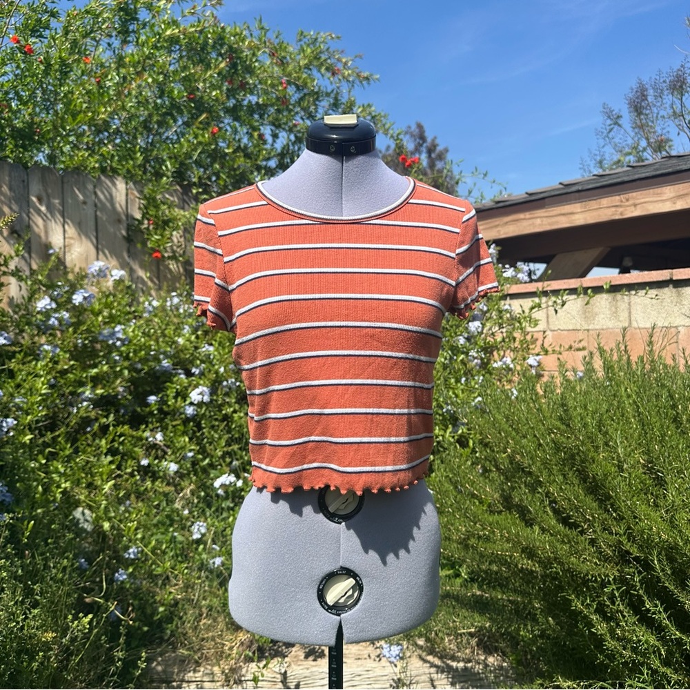 American Eagle Outfitters Medium Curvy Short Sleeve Ribbed Burnt Orange Crop Top